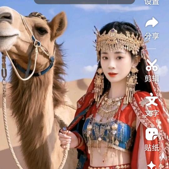 乐乐19371496560