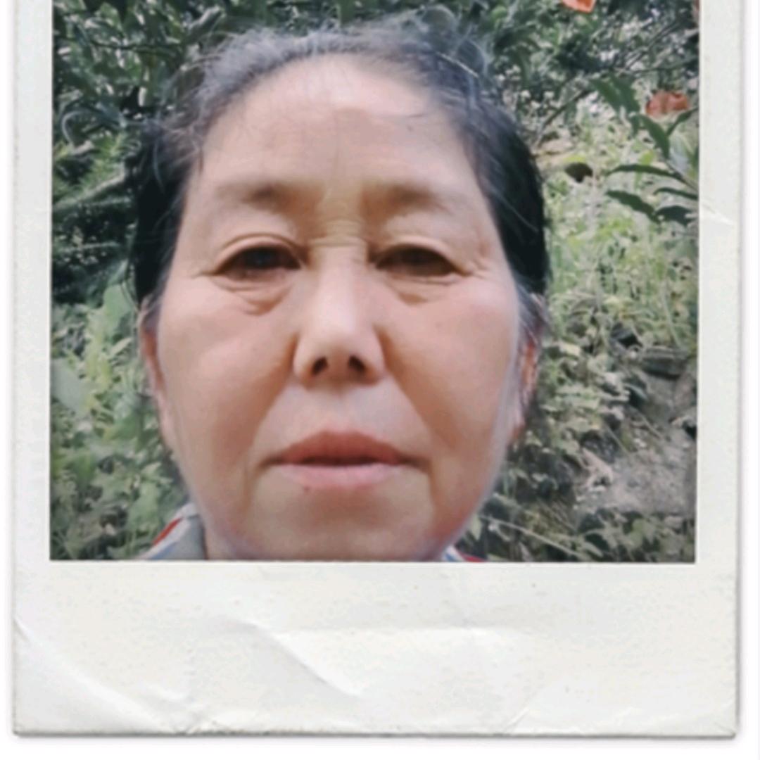 那笔小新