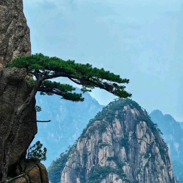 多福
