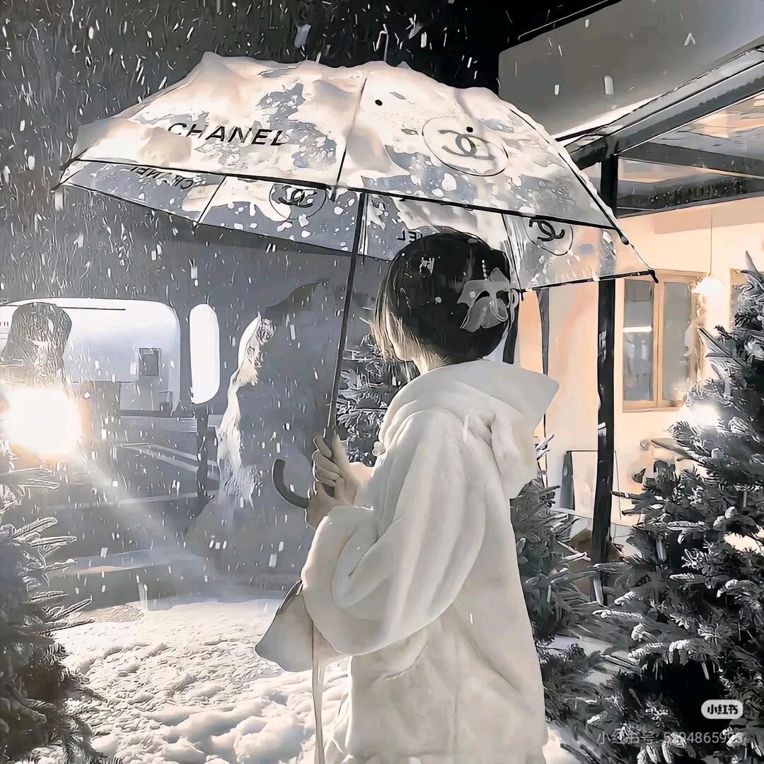 林月雪