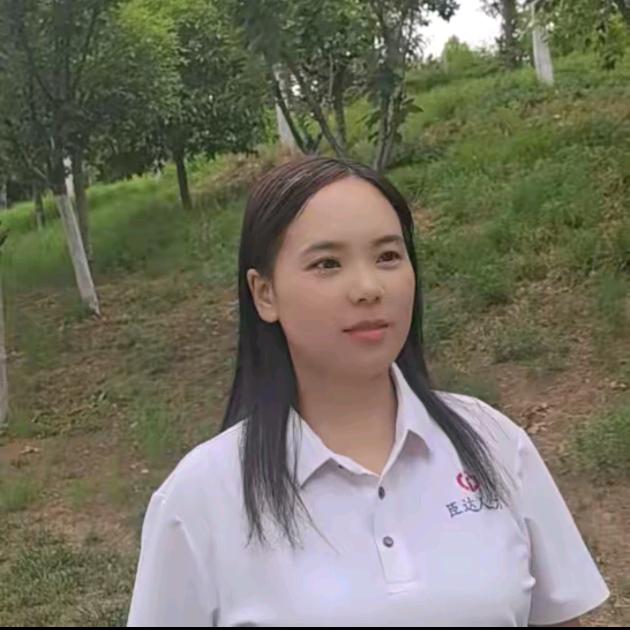 伊川县臣达人力资源