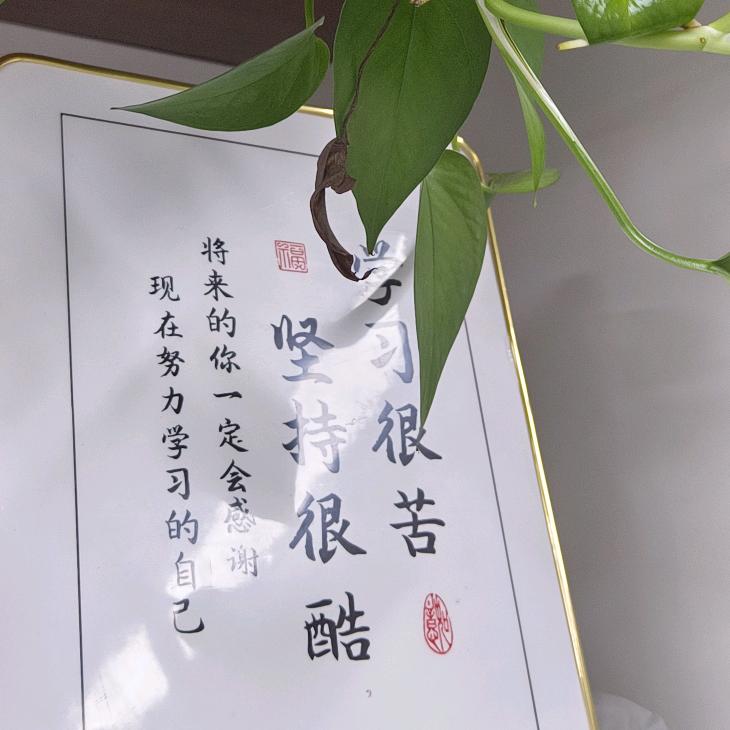 冬扇夏被