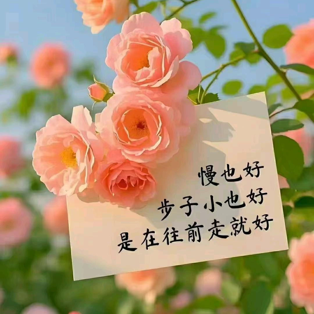 赫章粉品集