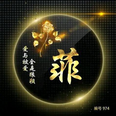 菲儿夫妇百货9218