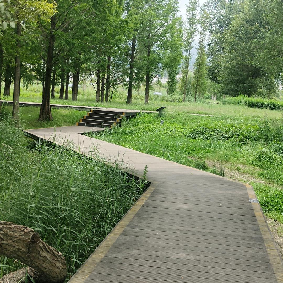 云南小王爷