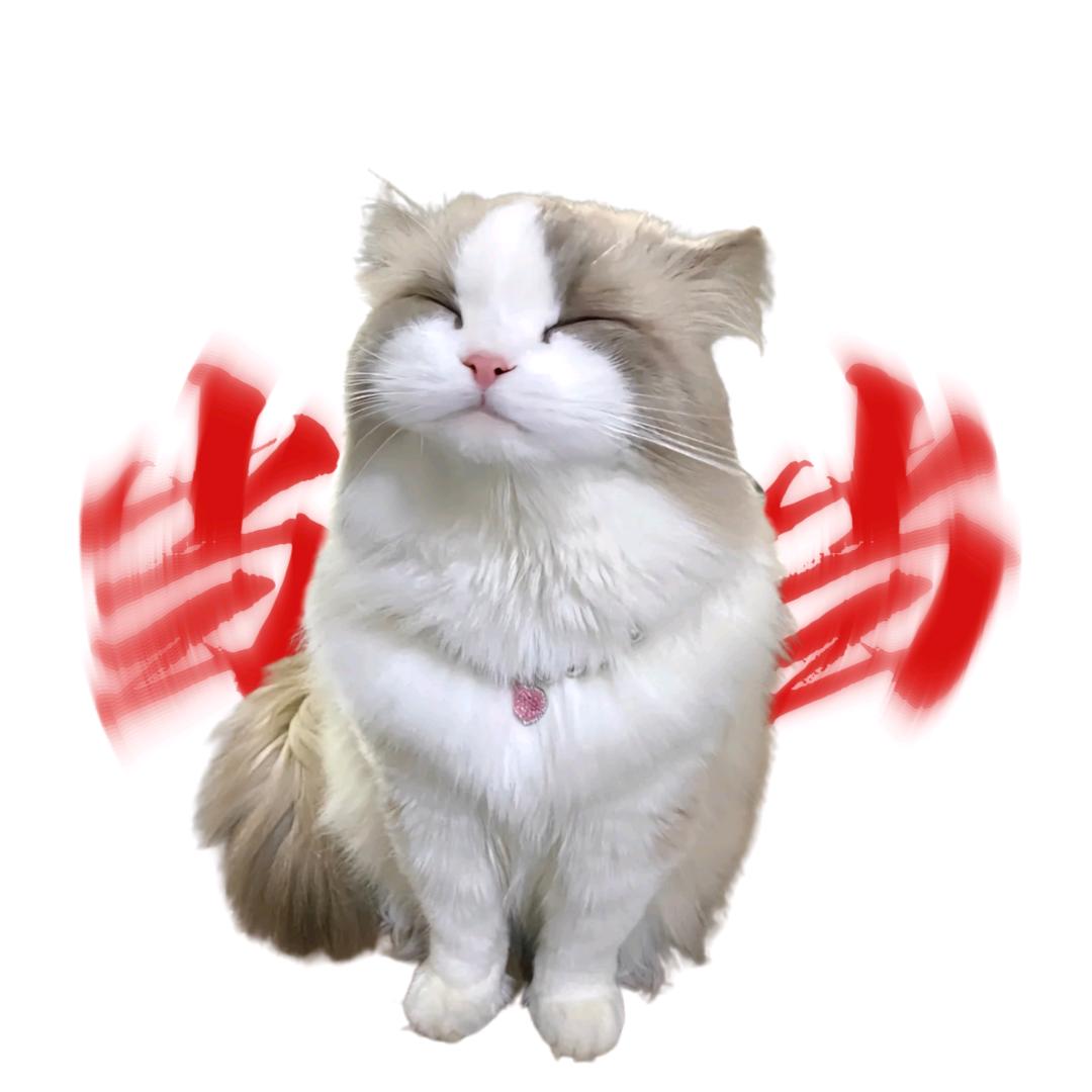 当当ww