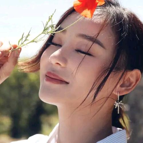 张美丽