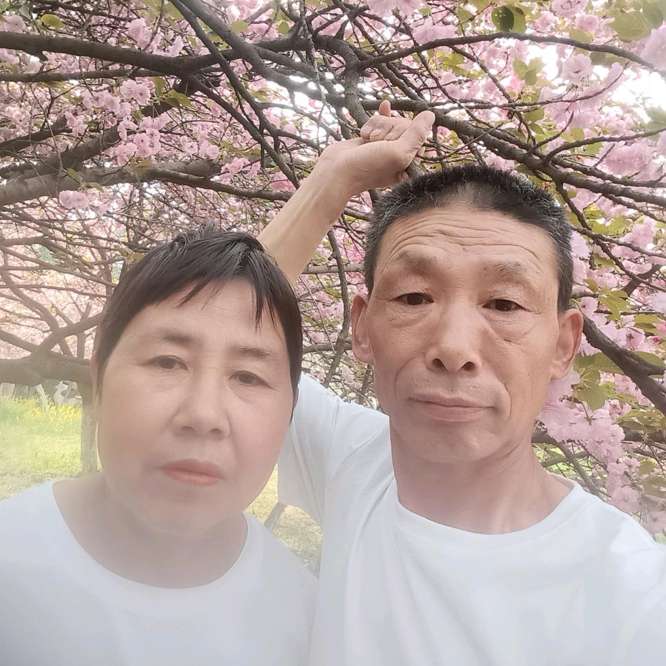 禹州杨哥（红申)