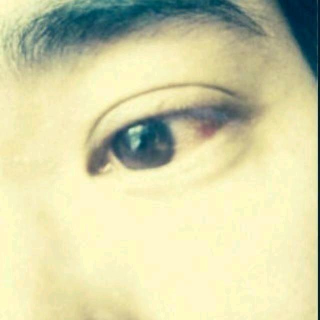倦歌楼