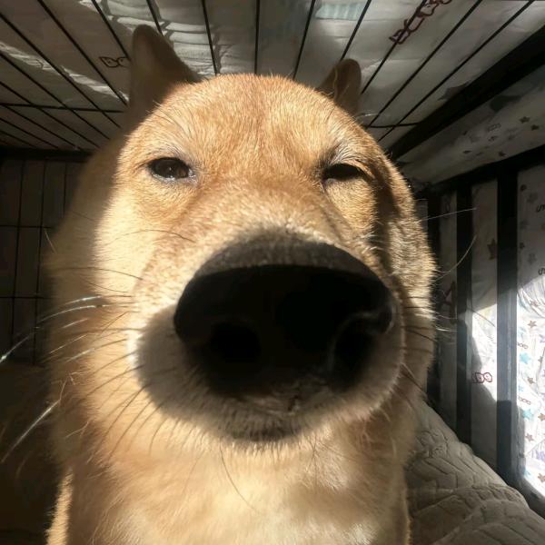 莫负
