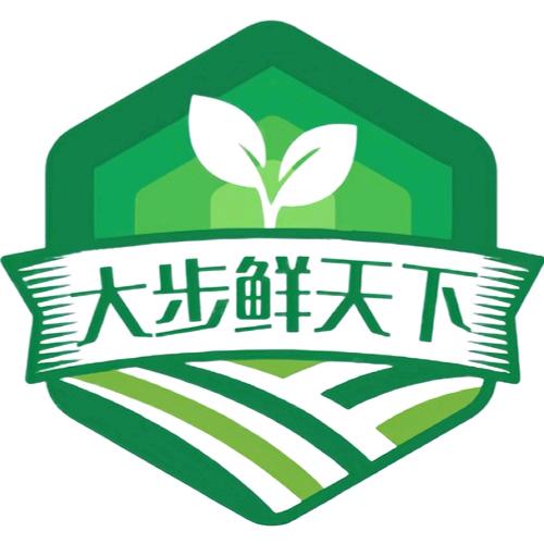 大步生活馆惠选