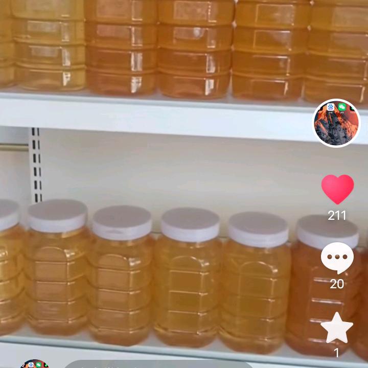 生态掌门人