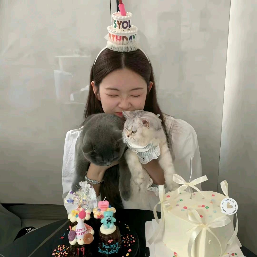 一只羊🐏仔.