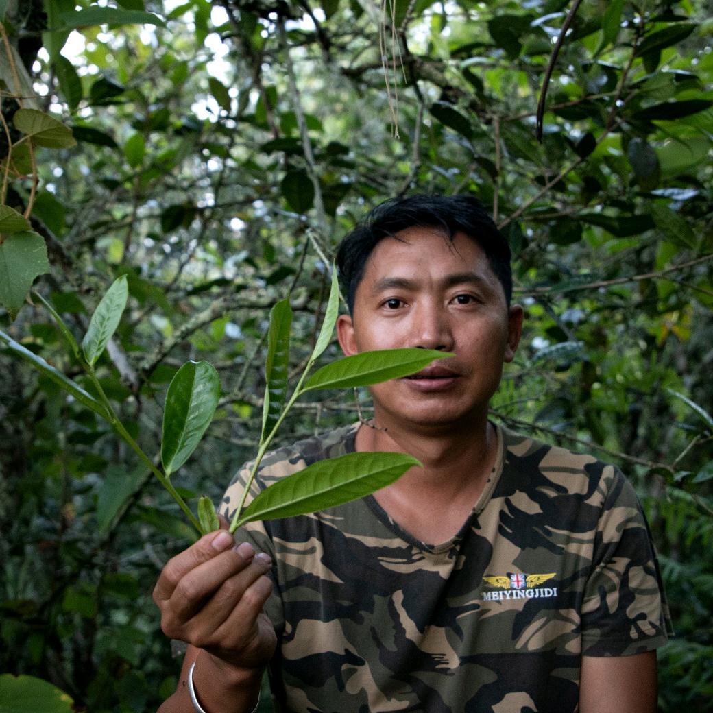 BPKJ茶频道《小众玩家茶》