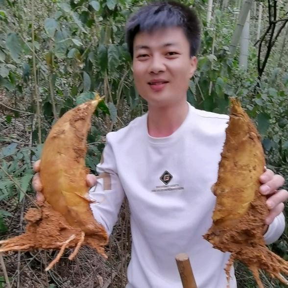 桃江笋子哥