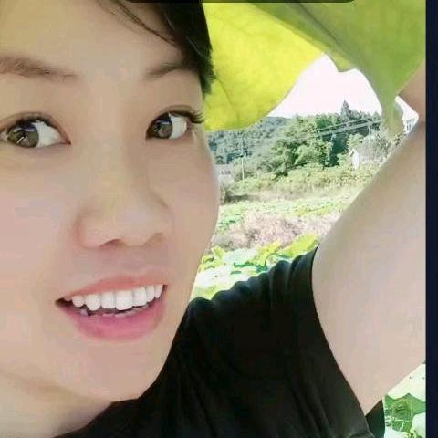 星语心愿