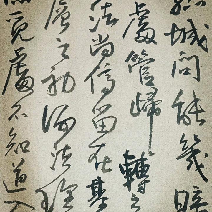 颇隽