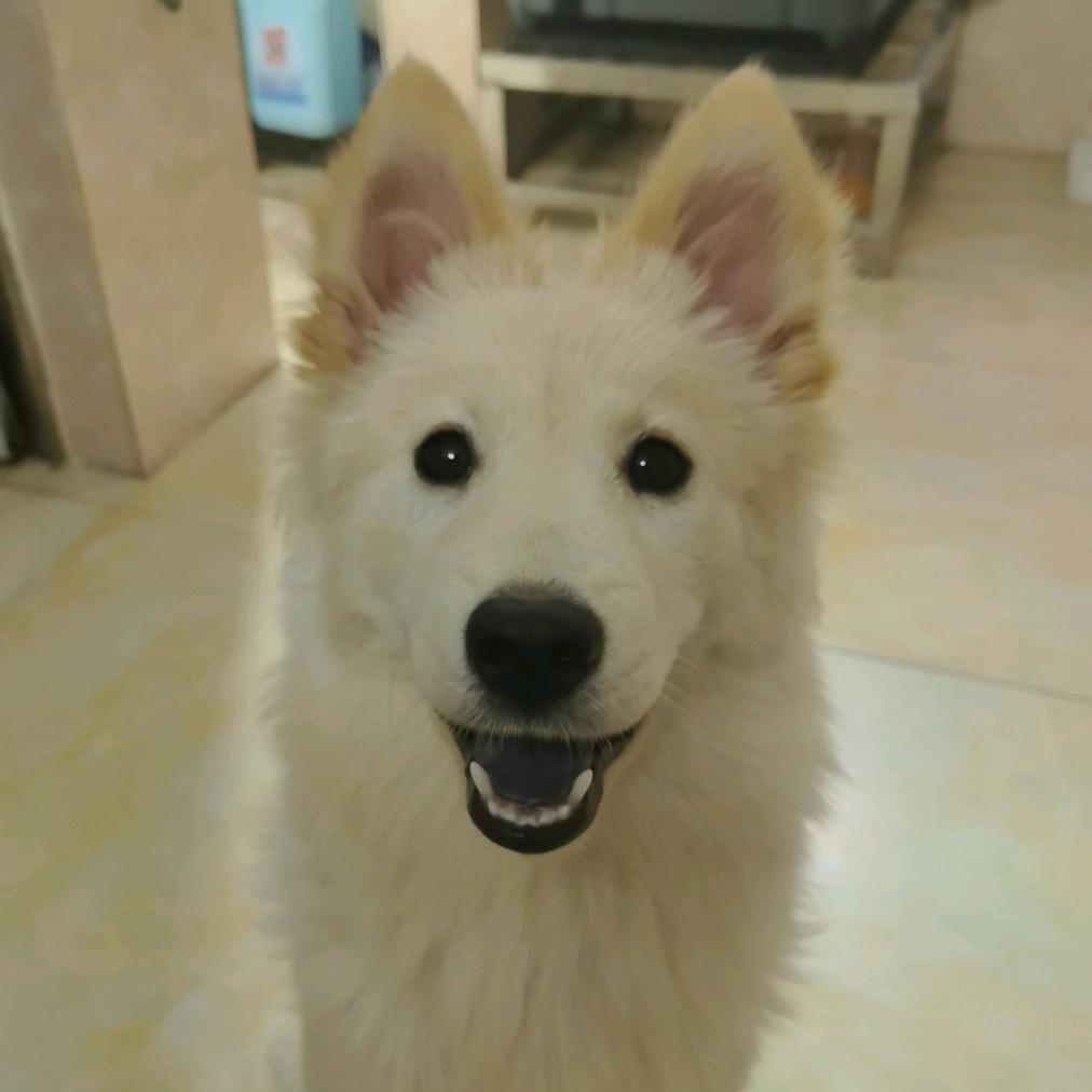 LY小叔