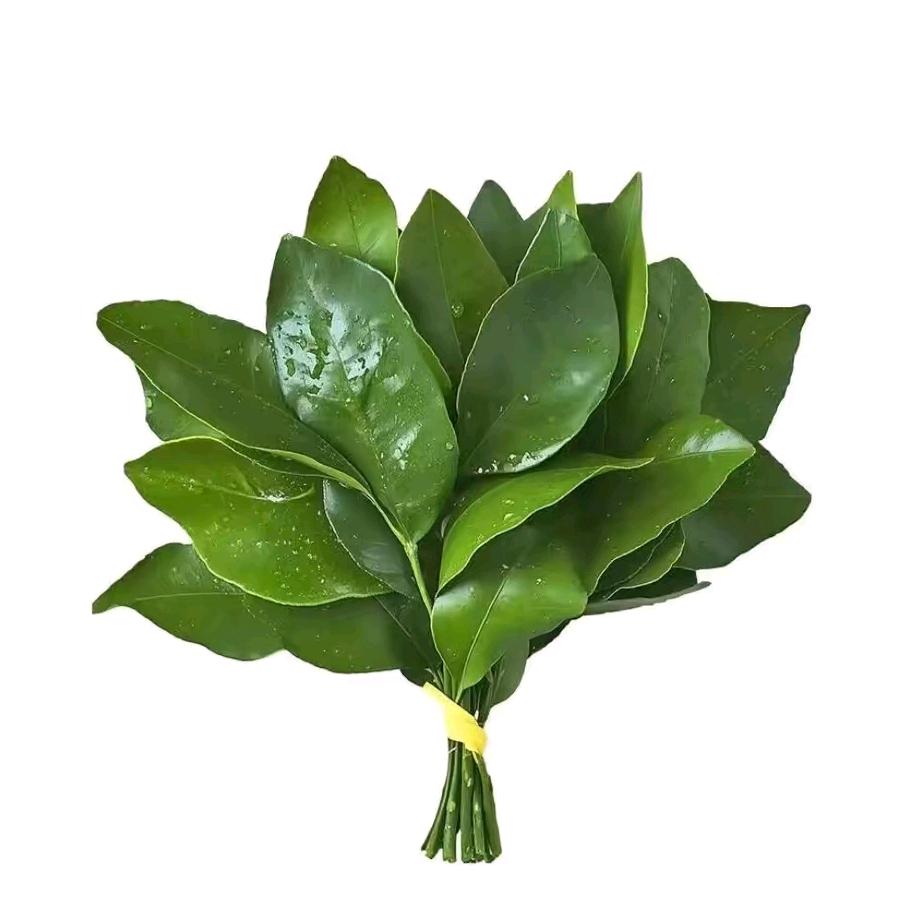 豆少.