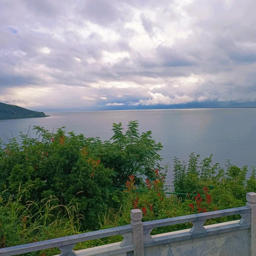 我的未来，与你同在