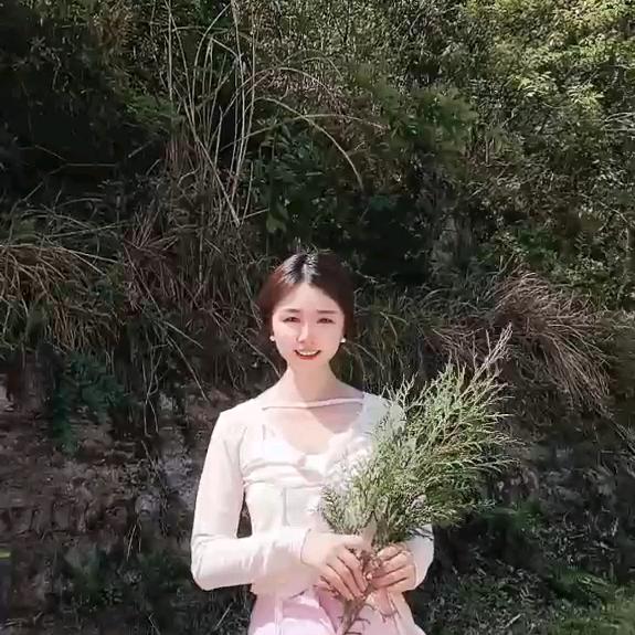 淞树