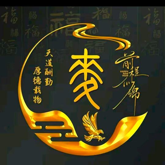 杰哥(自游侠)