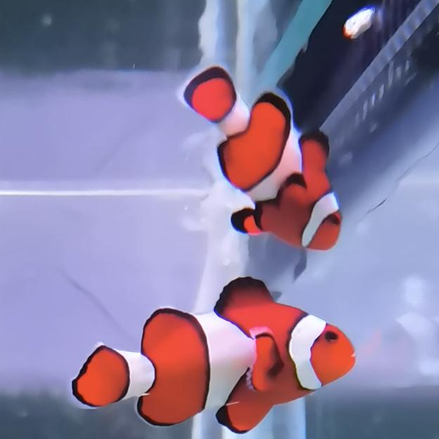 优海宜鱼水族馆