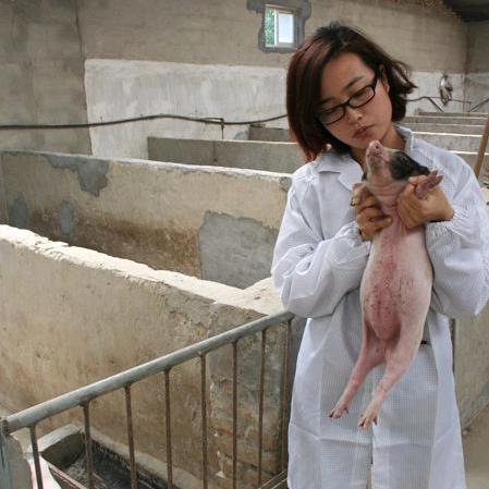 恩和养殖好物分享