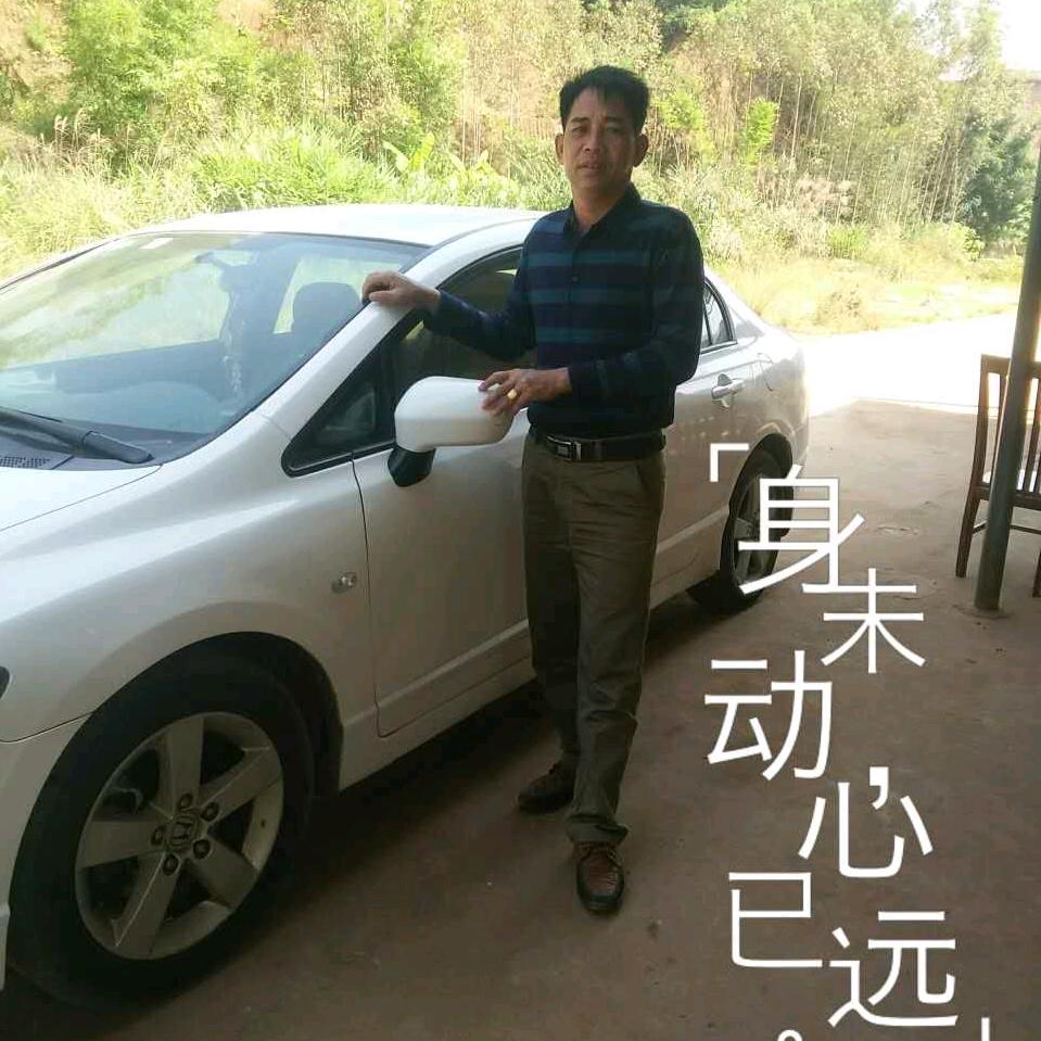 再起东山