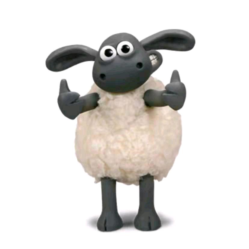 -易只烊🐑