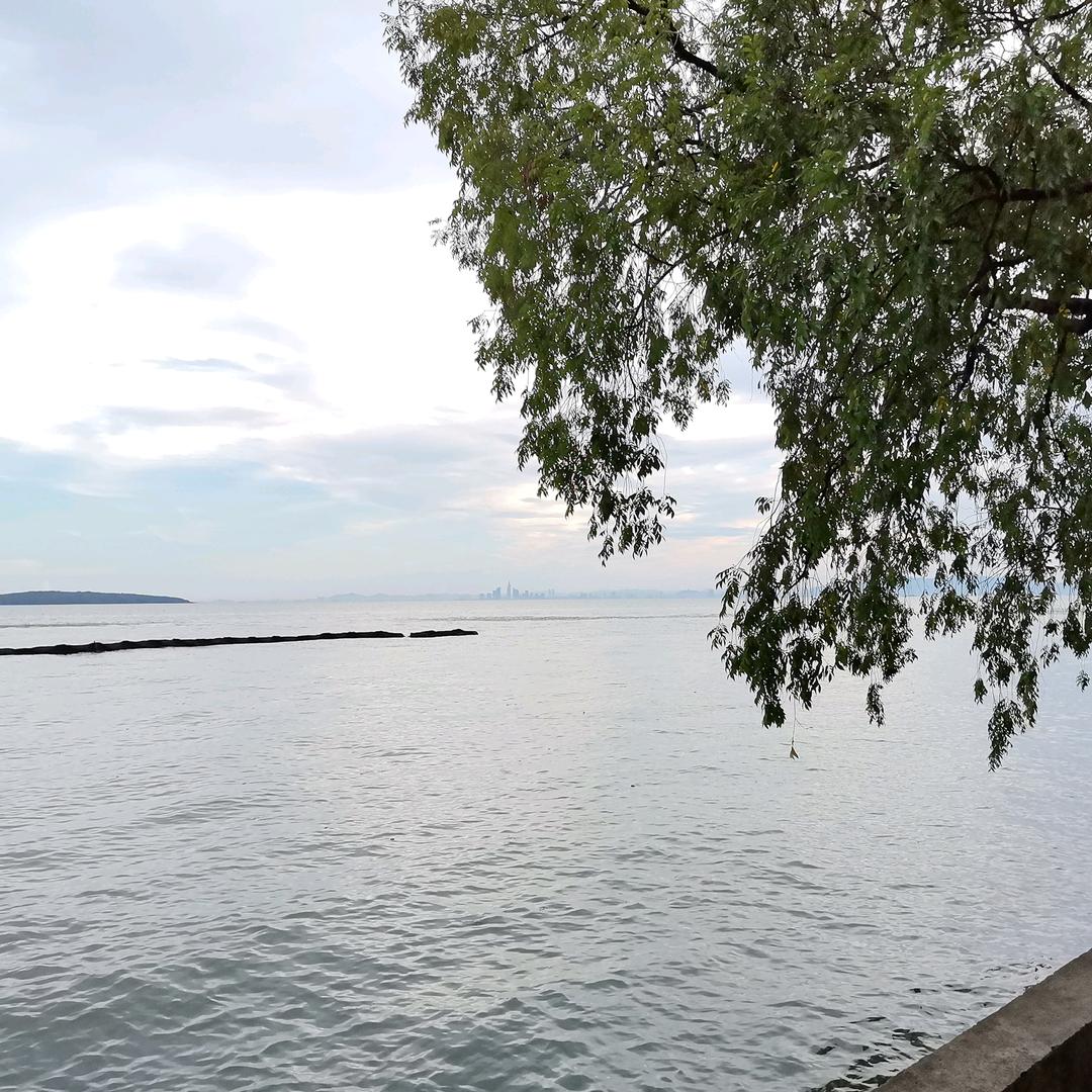 夏月曦
