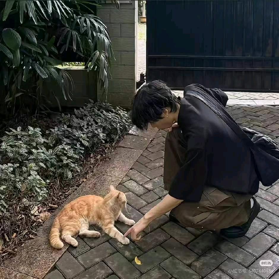 小葛不帅