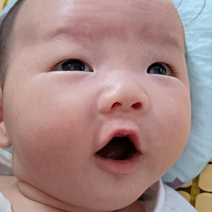 小十二