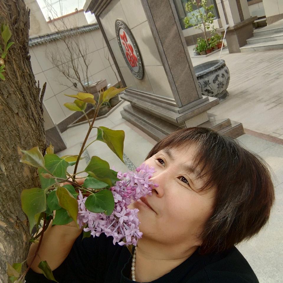 蒲公英的春天，