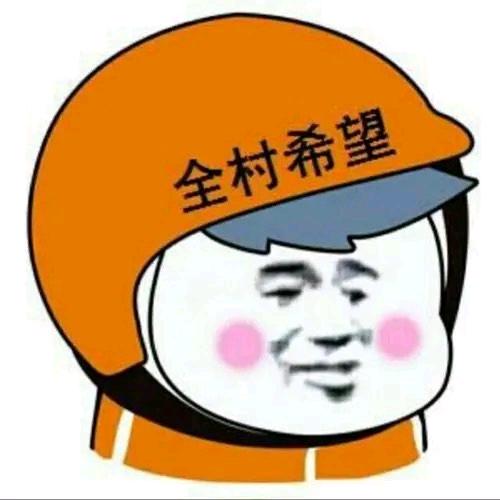 我们都爱睡大觉