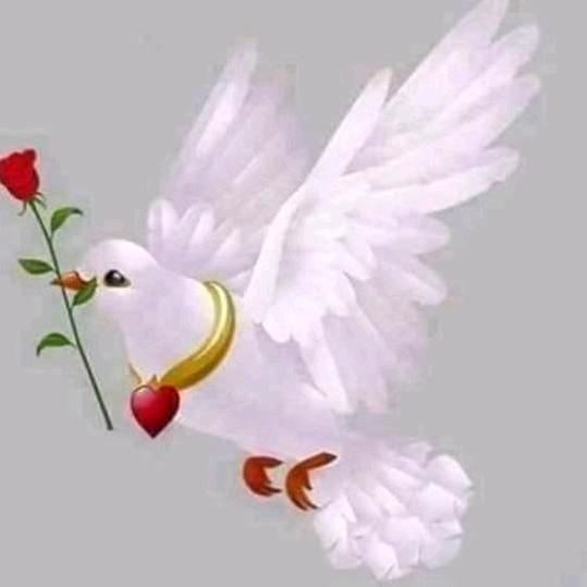 ࿐💔ℯ⃝错把᭄࿐敷衍当承诺🥀☁