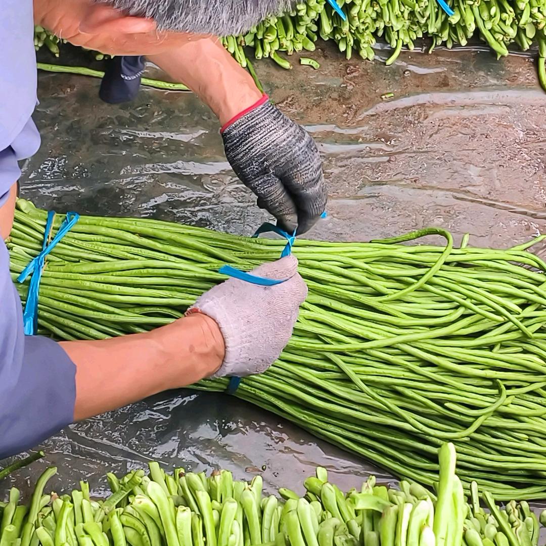 刘氏菜业