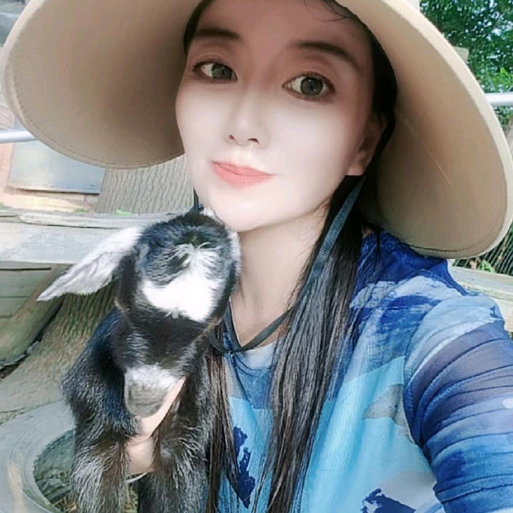 阿赵农场