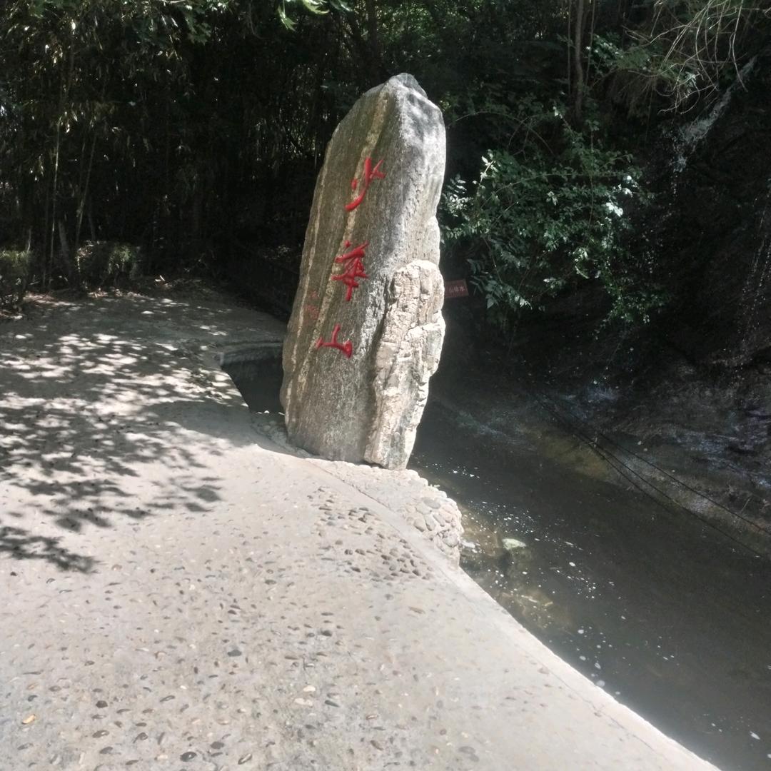@随意
