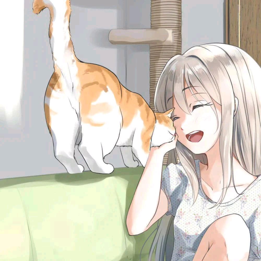 向南动画