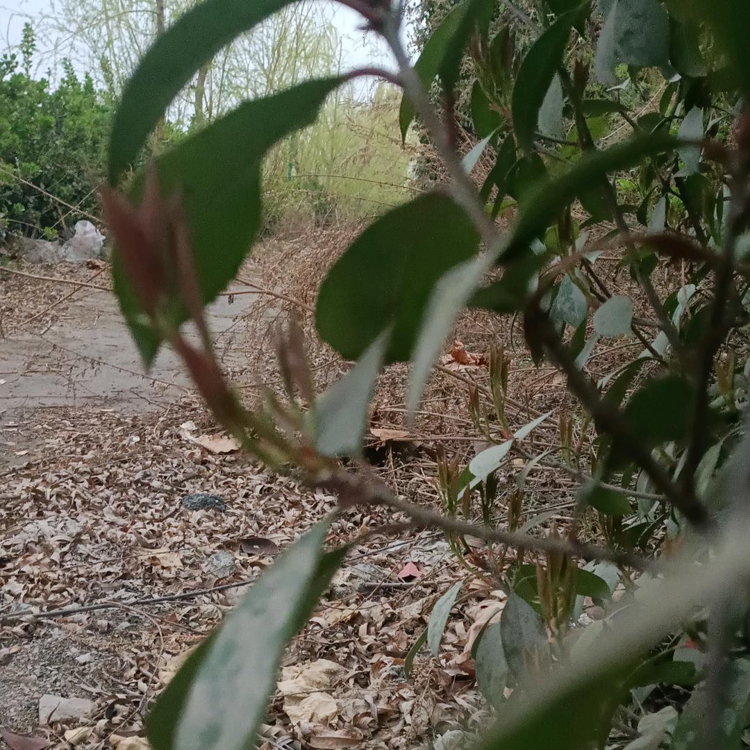 倩儿臻选