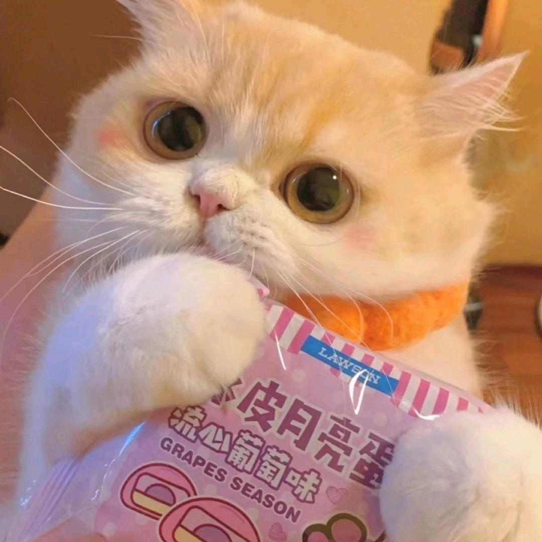 啦芭芭