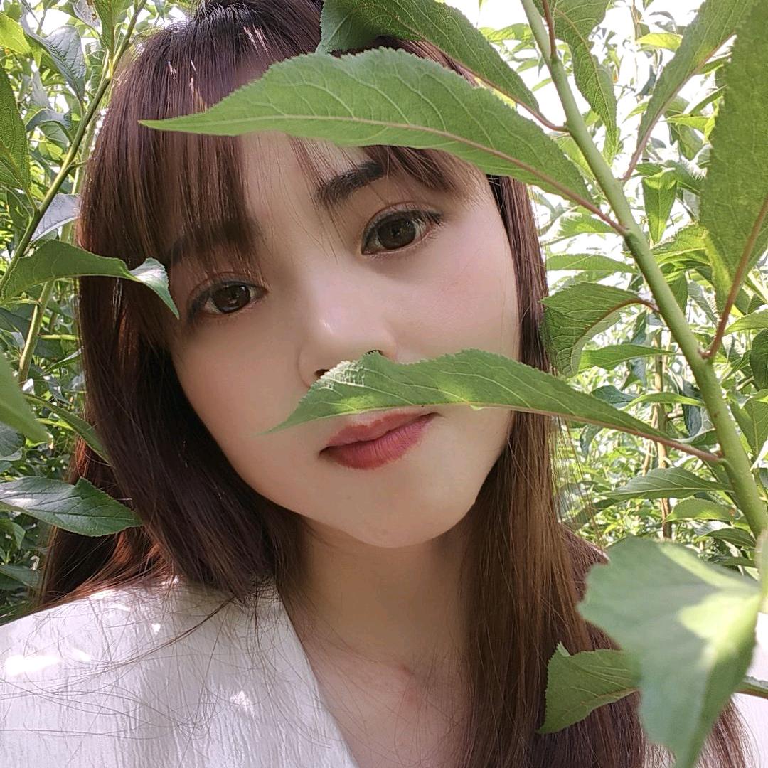 李艳六马蜂糖李苗专业种值