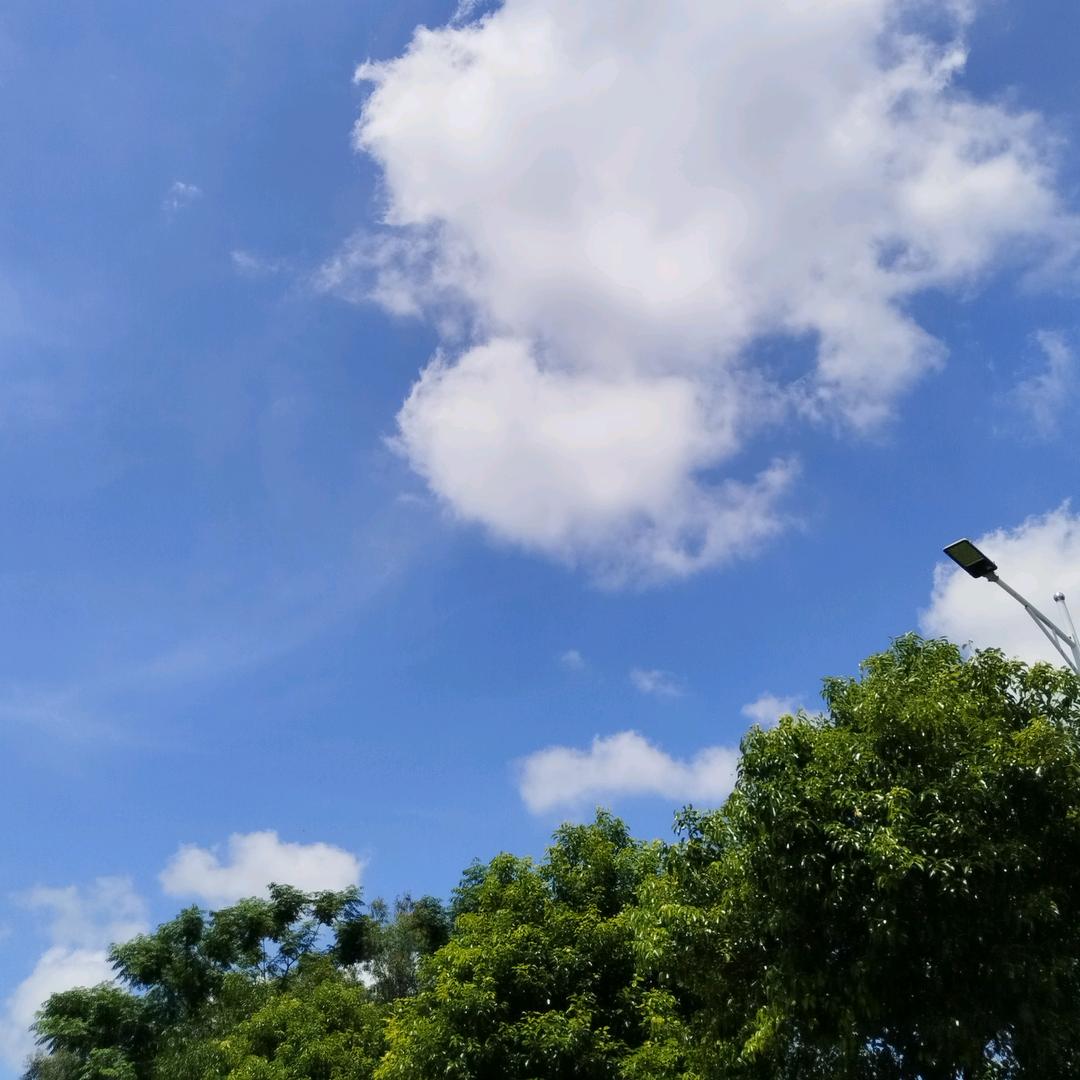 我是阿娇呀