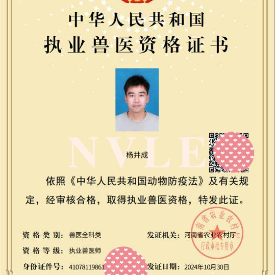 执业兽医杨老师