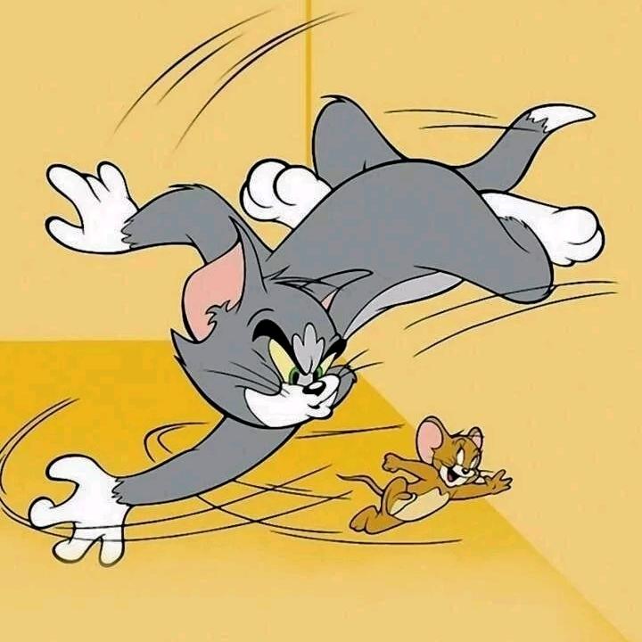 LH