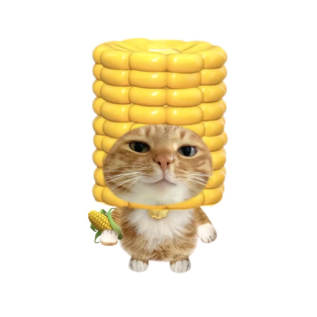 艳子呐！