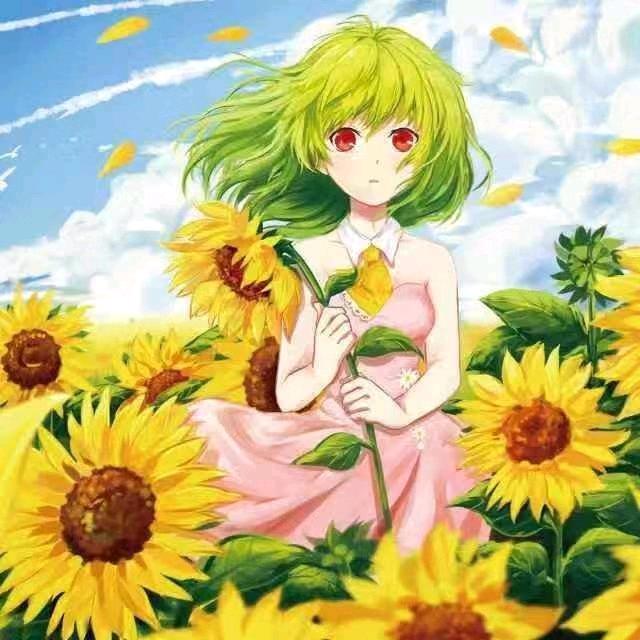 七月爆爆