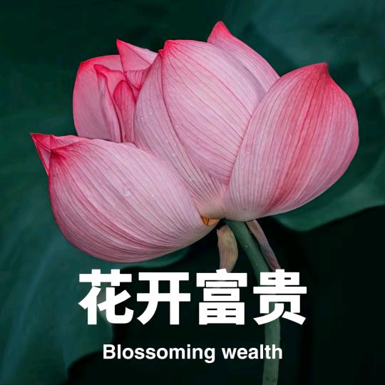 娟娟