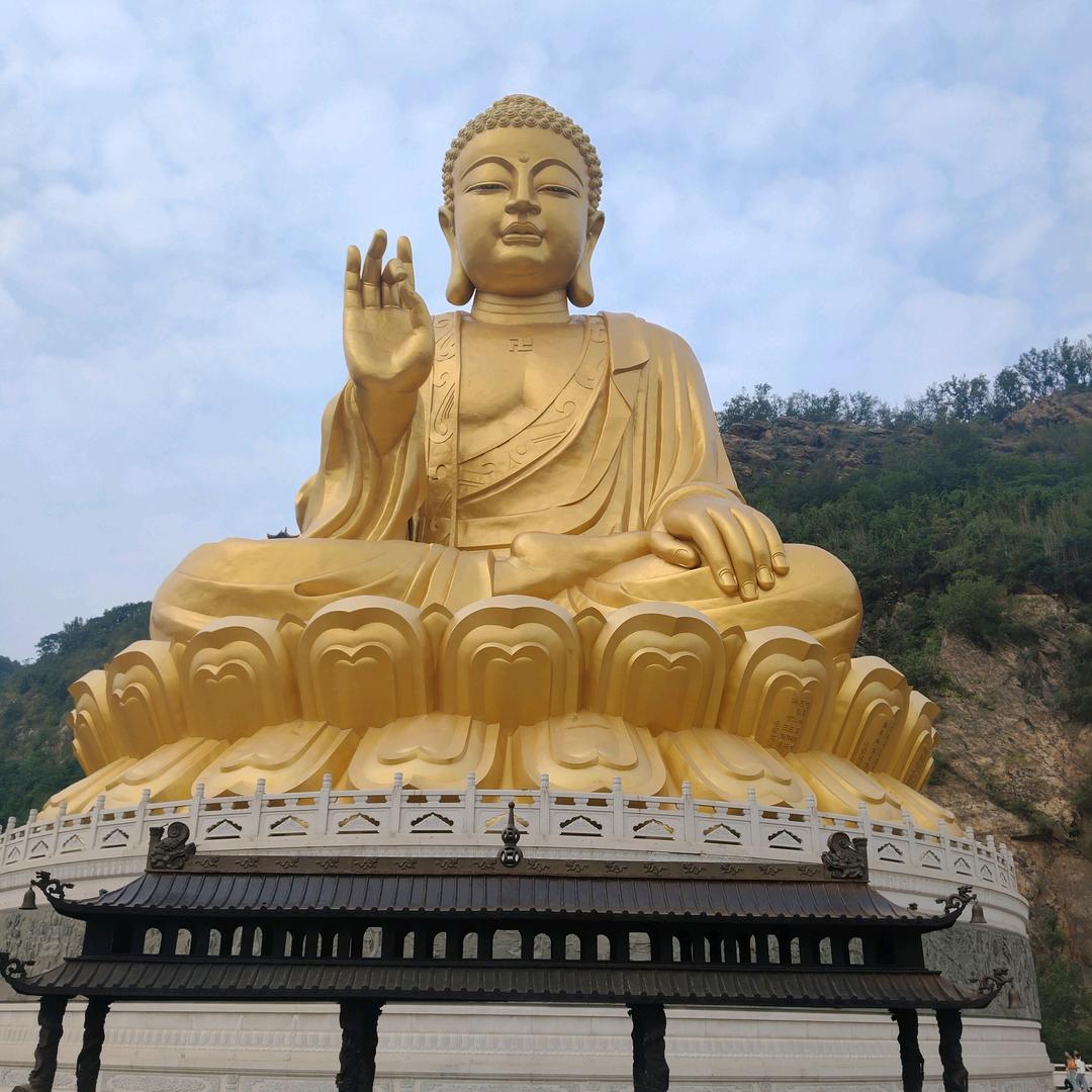 豫见小哥